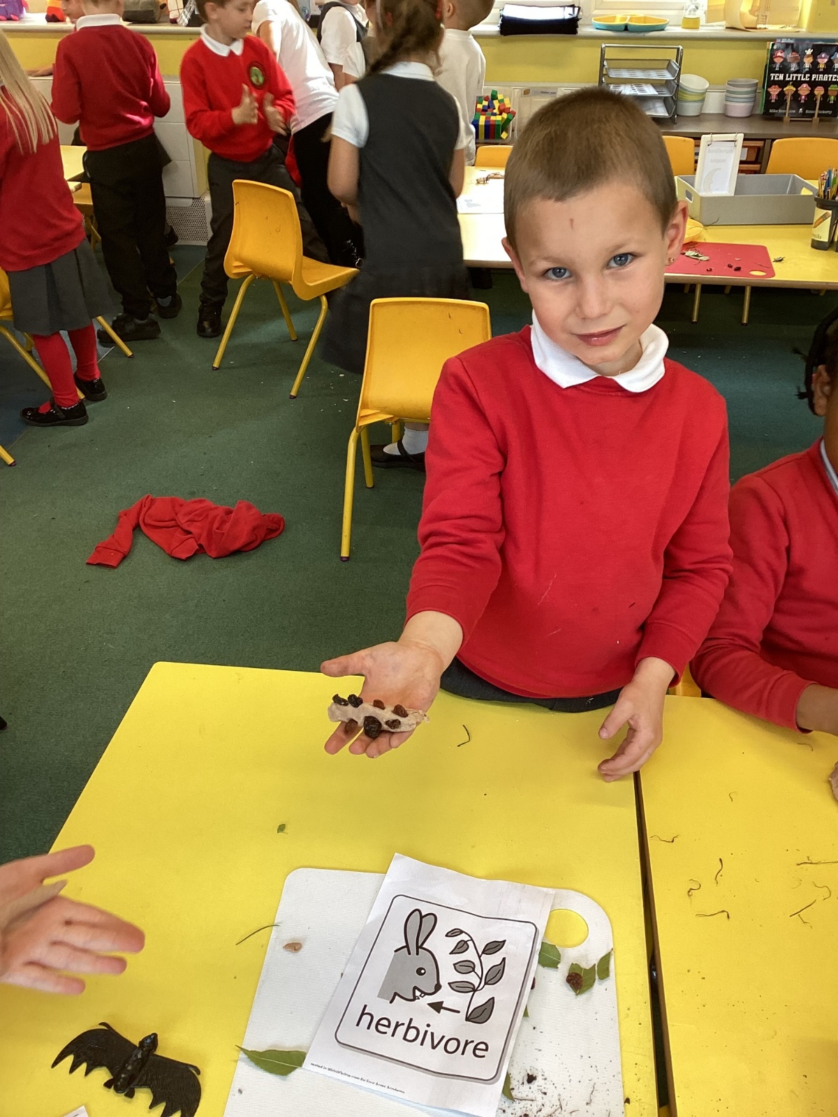 Whitchurch Primary School - Science